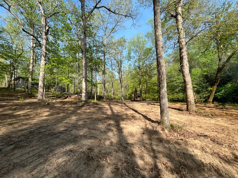 Land Clearing