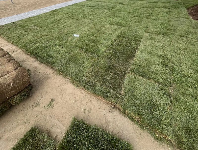 Sod Installation
