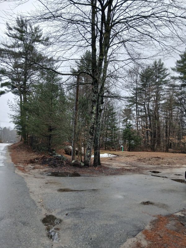 Mulch Installation