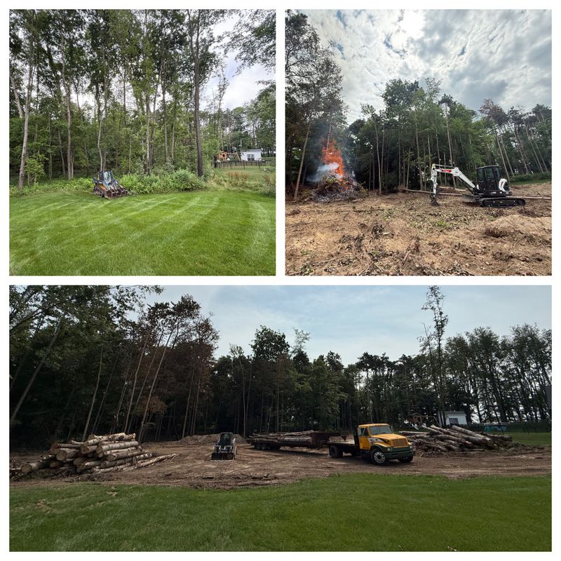 Site preps/land clearing 
