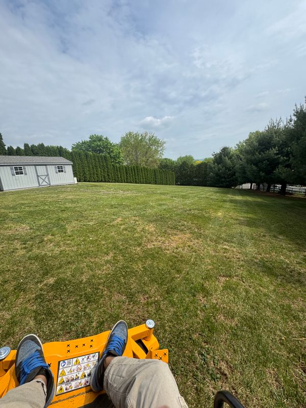 Lawn care
