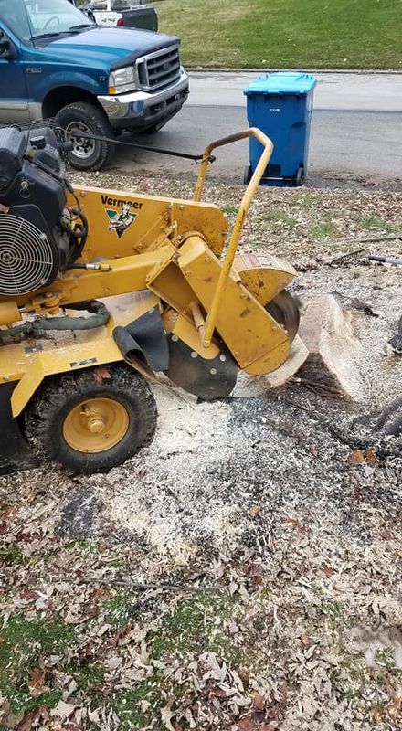 Tree Removal