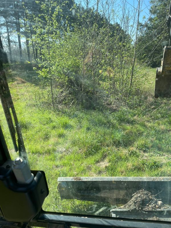 Vegetation Control