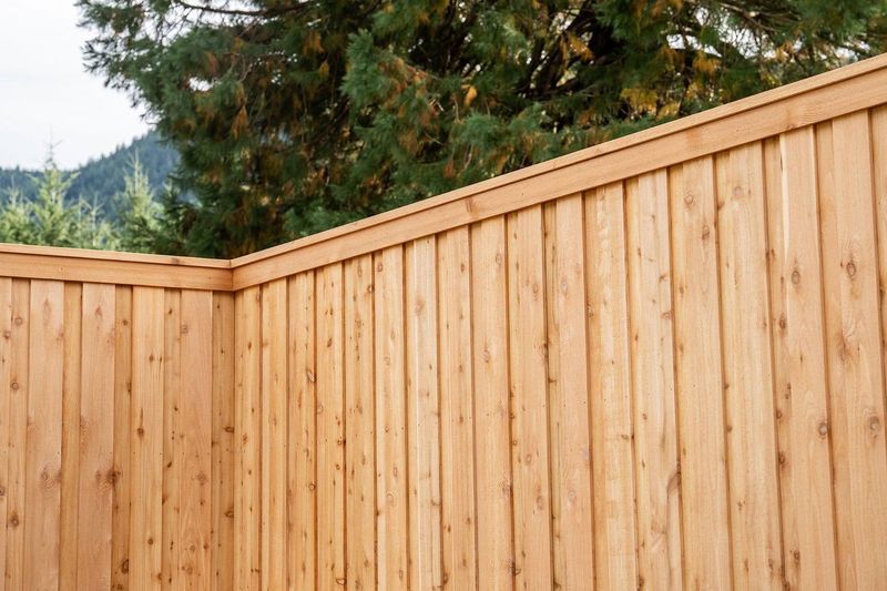 Fence Installation