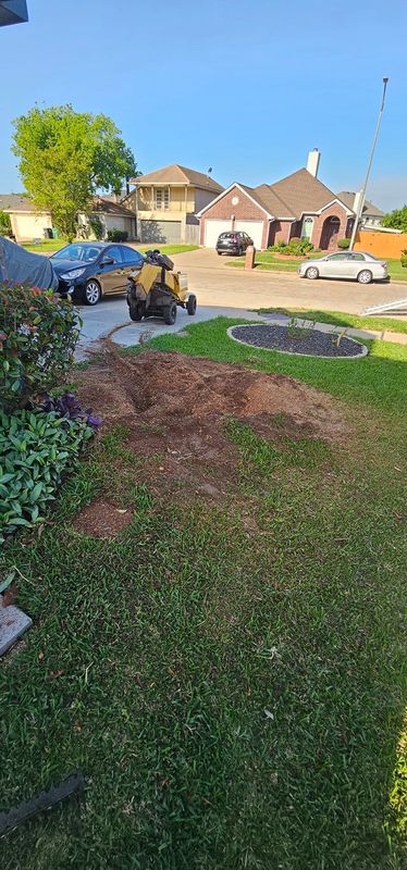 Tree Removal gallery