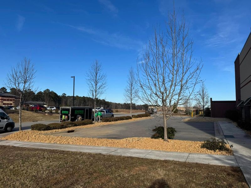 Landscaping