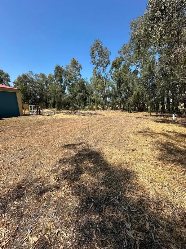 Lot Clearing