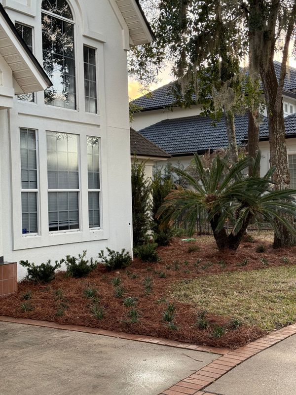 Landscaping Installation & Design