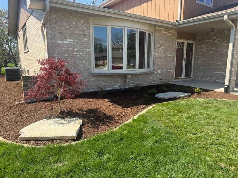 Tree and Shrub Care