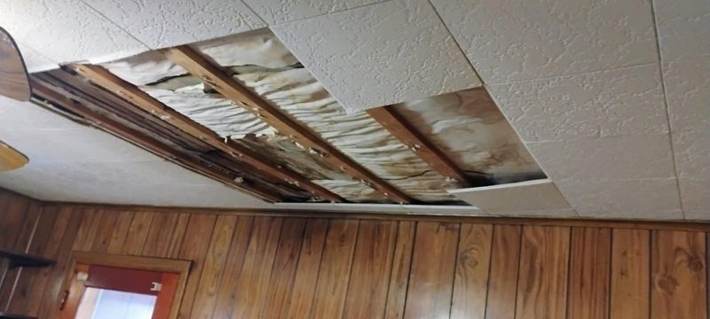 Interior Repairs