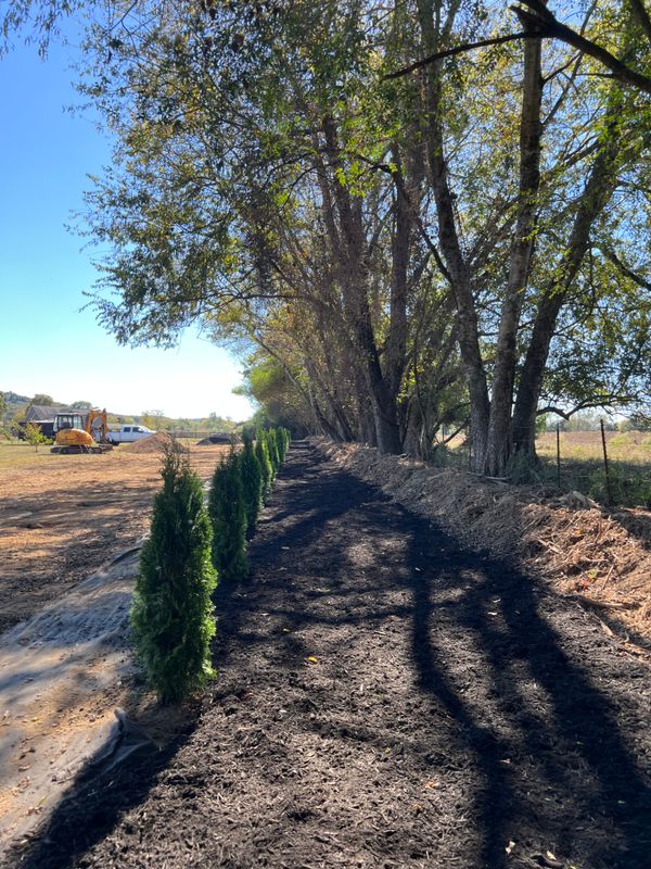 Landscape and landscape design
