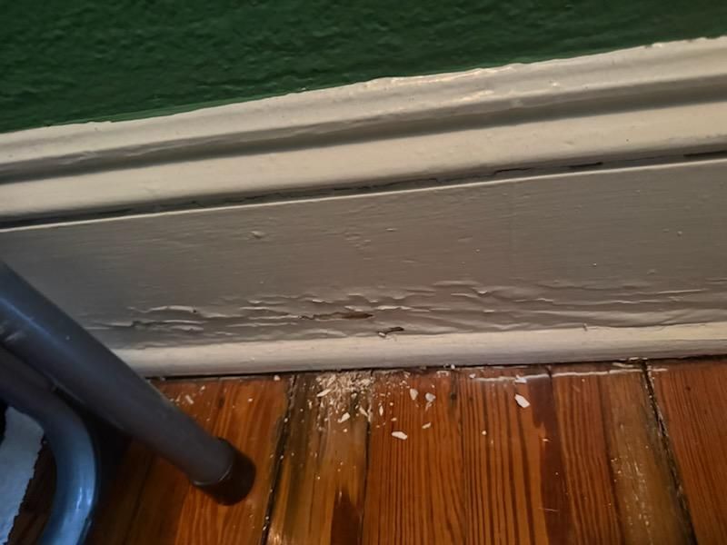 Restoring Harmony: Comprehensive Water Damage Repair in Boca Raton