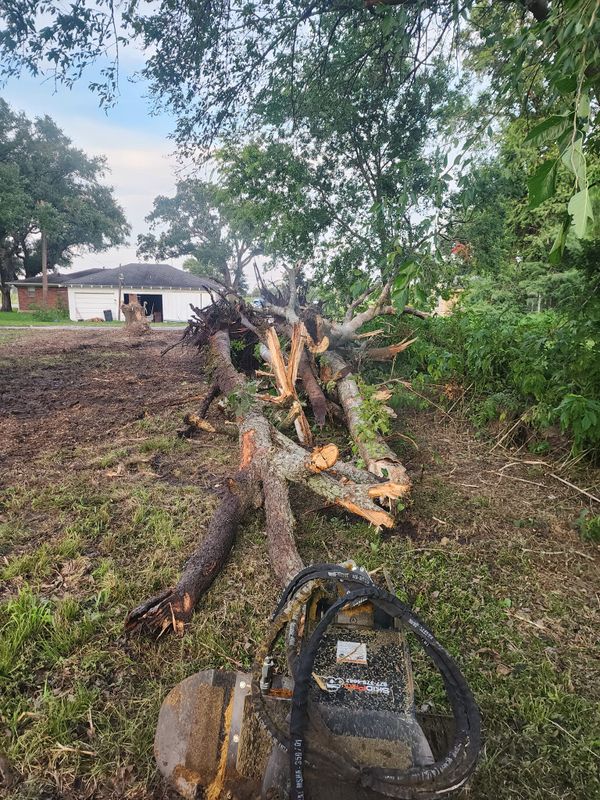 Land Clearing gallery