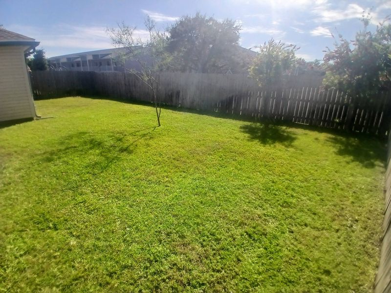 Sod  Installing