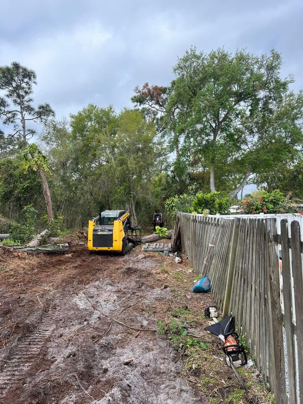 Tree Removal gallery