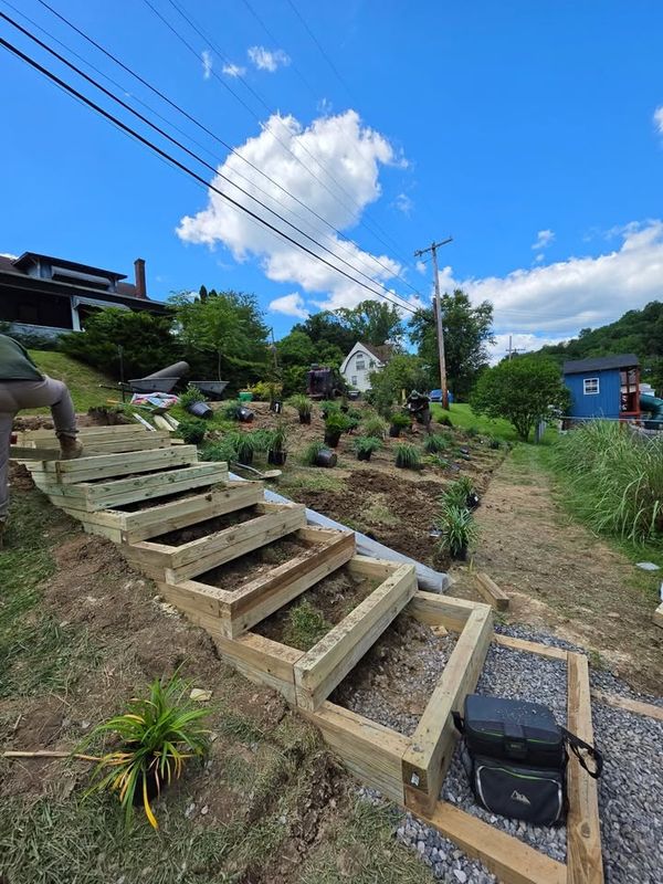 Landscape Design and Build