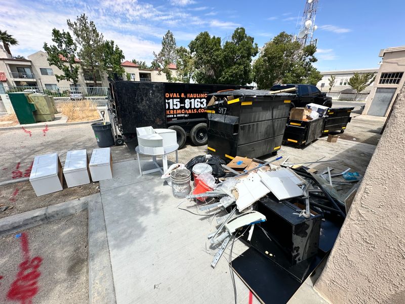 Dumpster Overflow Cleanup