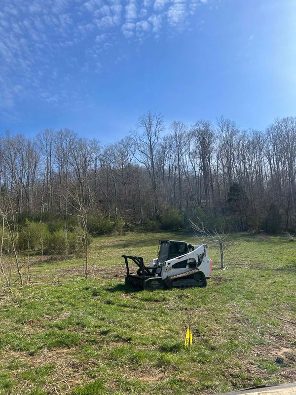 Land Clearing