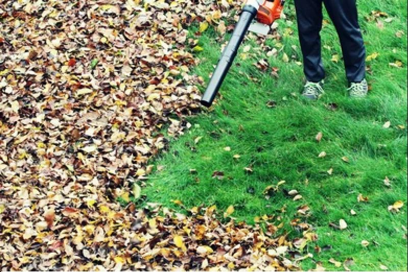 Lawn Mowing