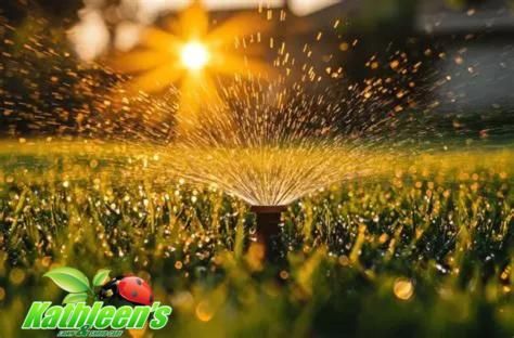 Lawn Care