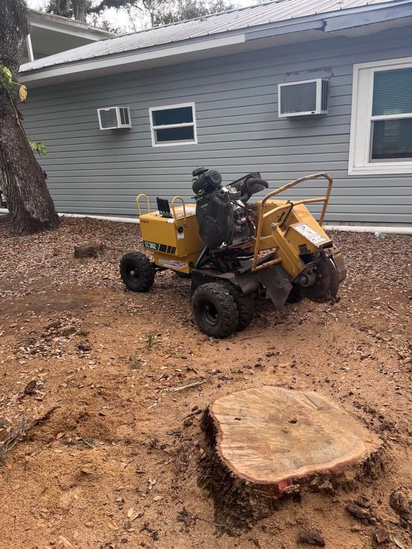 Stump Grinding