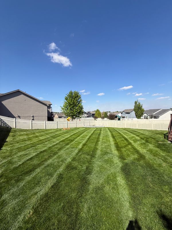 Lawn Maintenance