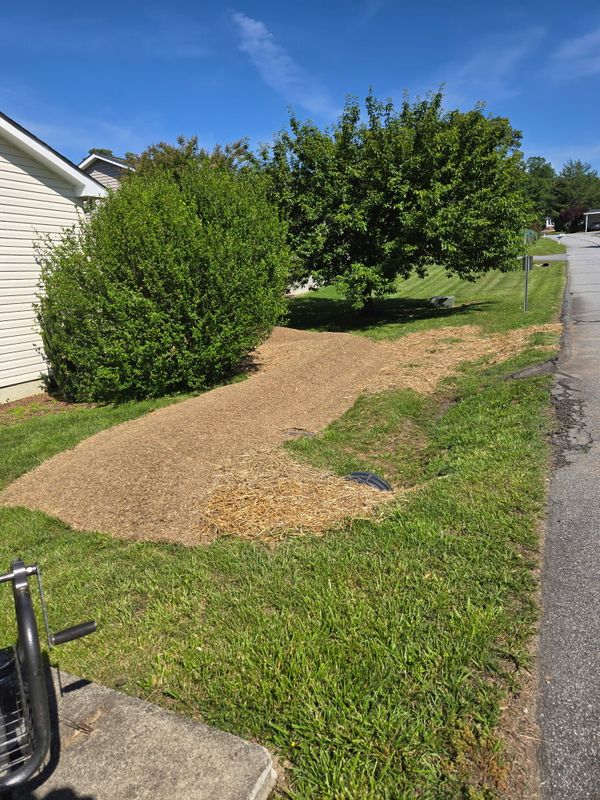 Soil Management and Mitigation