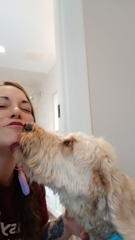 Pet-Friendly Cleaning