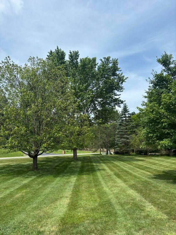 Mowing