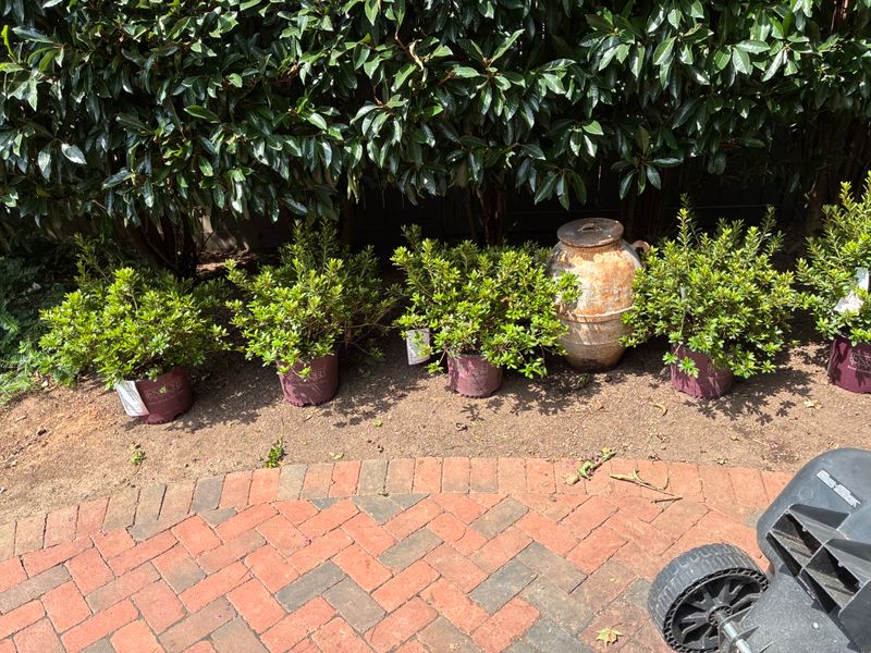 Mulch Installation