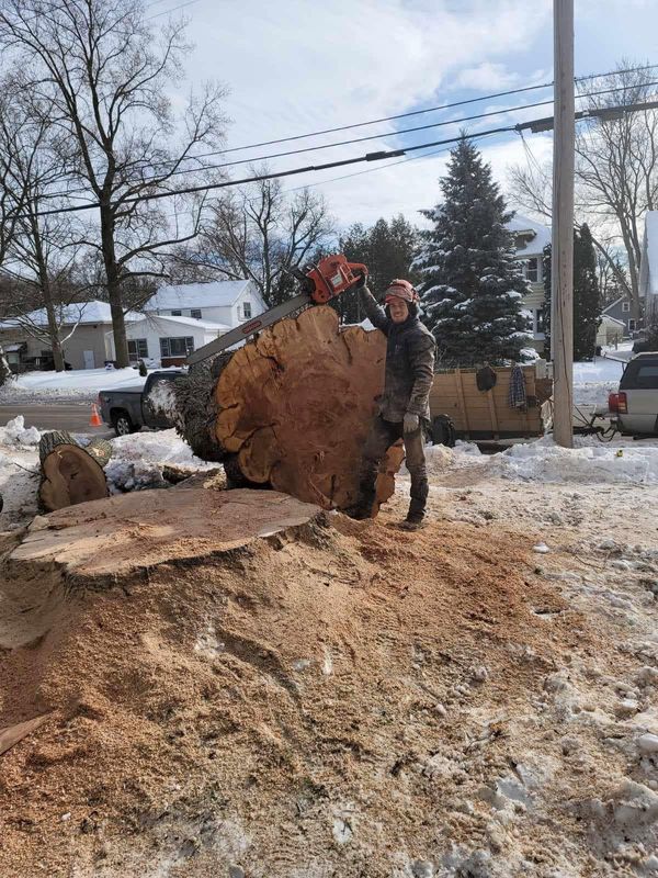 Stump Removal