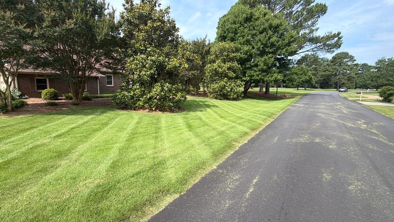 Landscape Design & Renovation