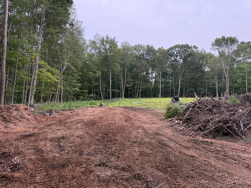 Forestry Mulching