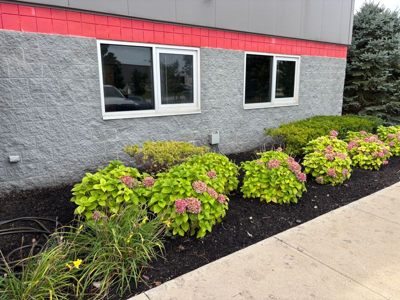Landscaping and Irrigation Systems Repair