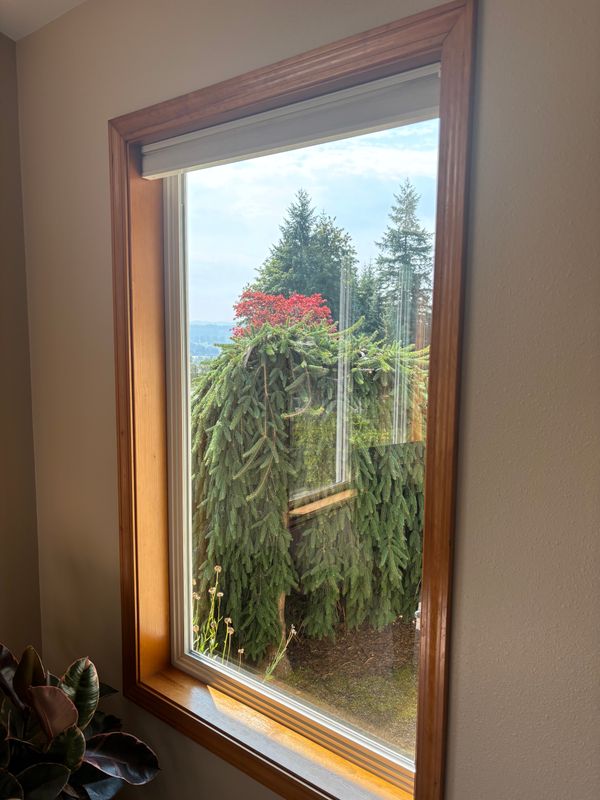 Crystal Clear Views: Transforming Your Windows with Elite Cleaning Co.
