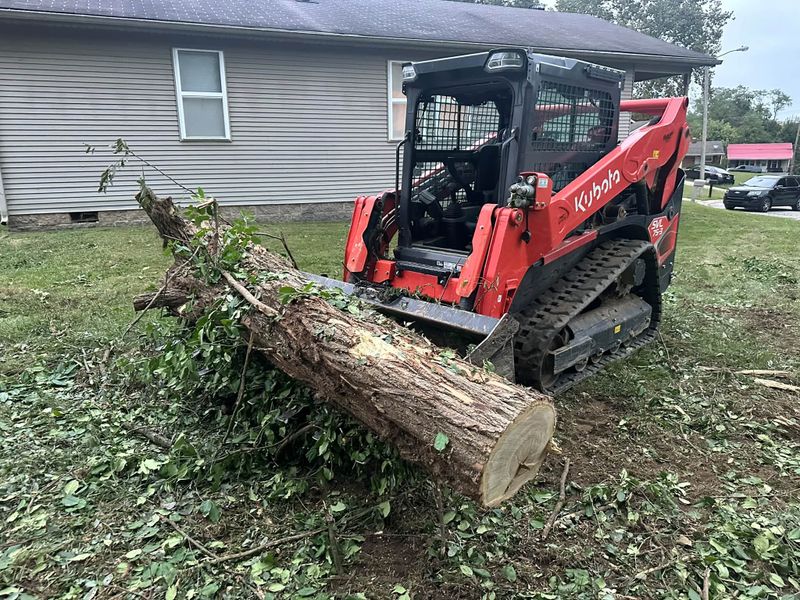 Tree Services