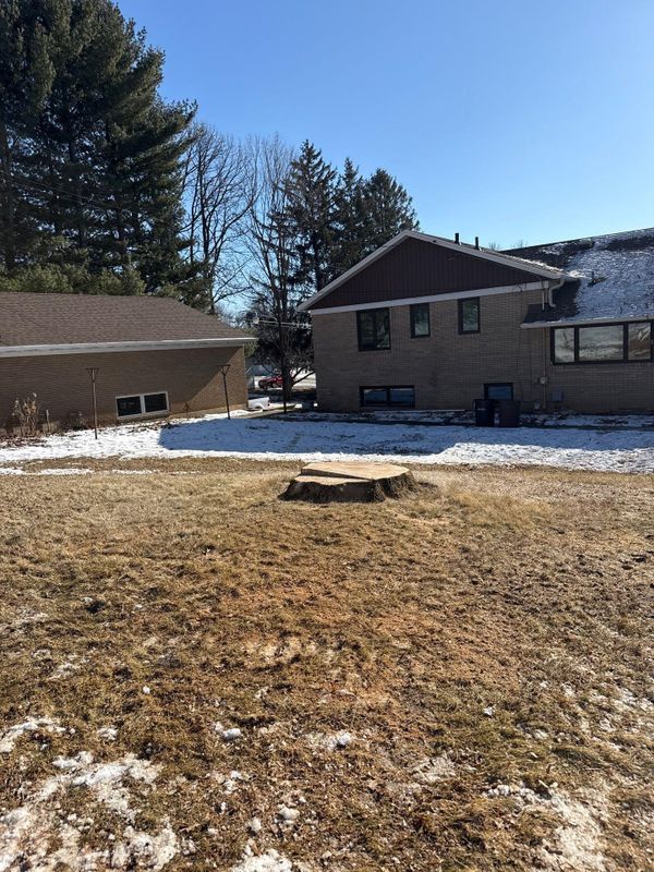 Stump Removal