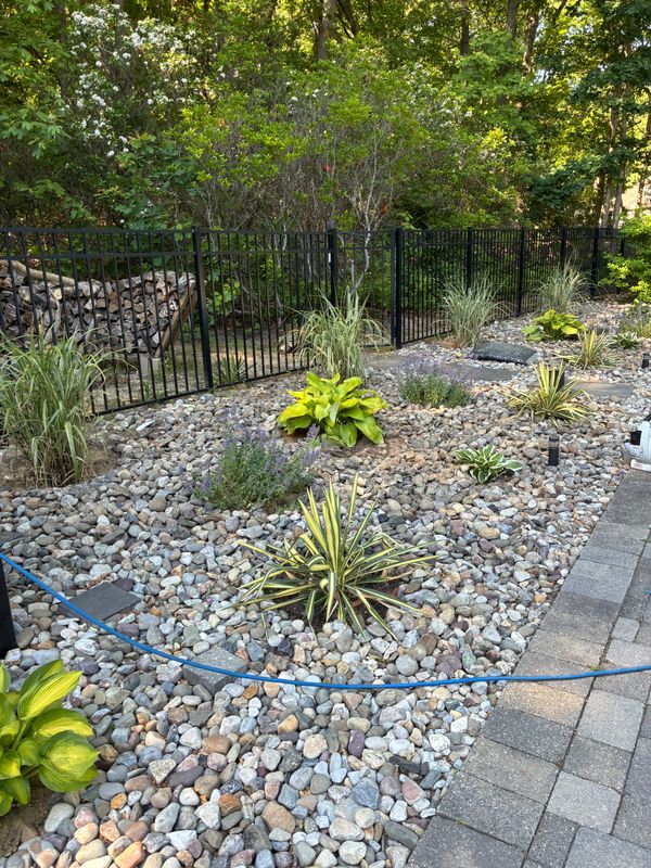 Plant & Shrub Installations