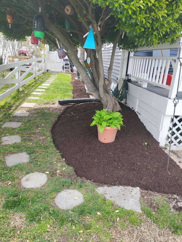 Landscape Design/Mulching