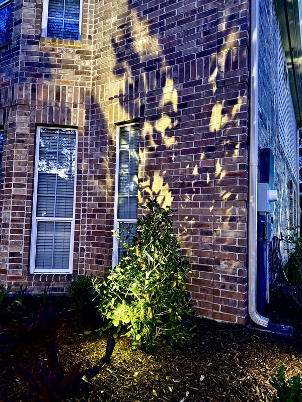 Mulch Installation