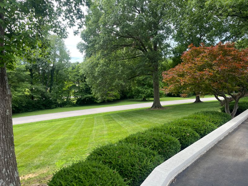Mowing