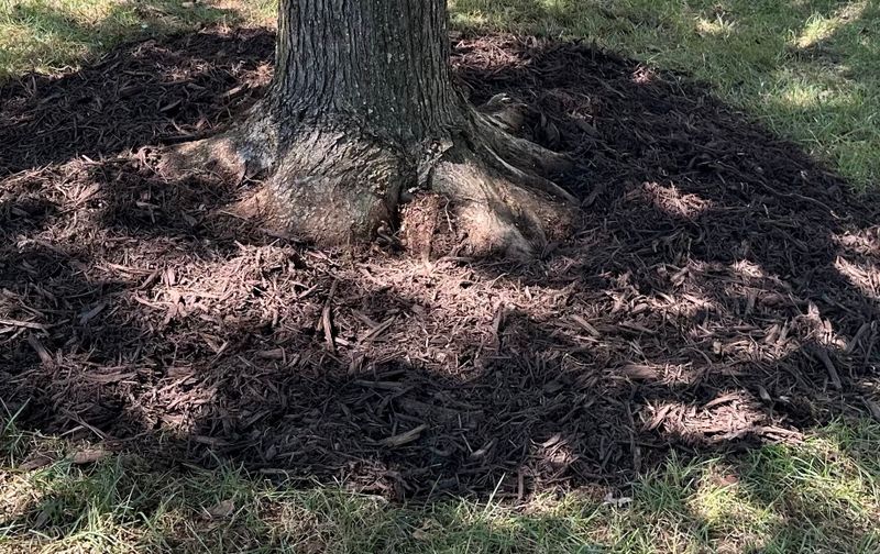 Landscape Installation