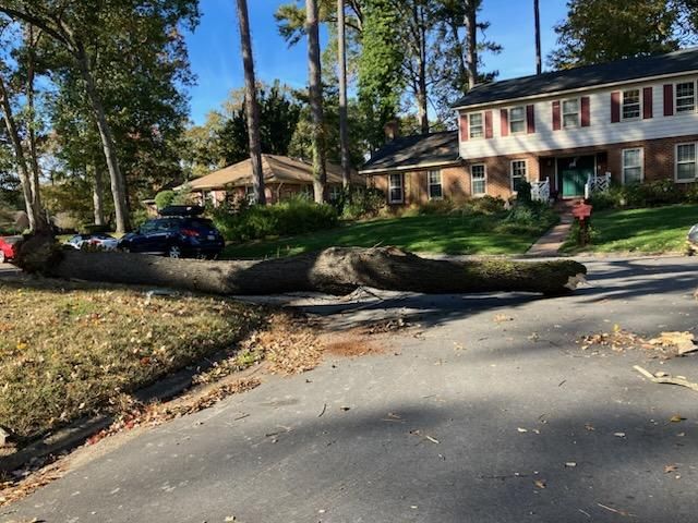 Tree Removal