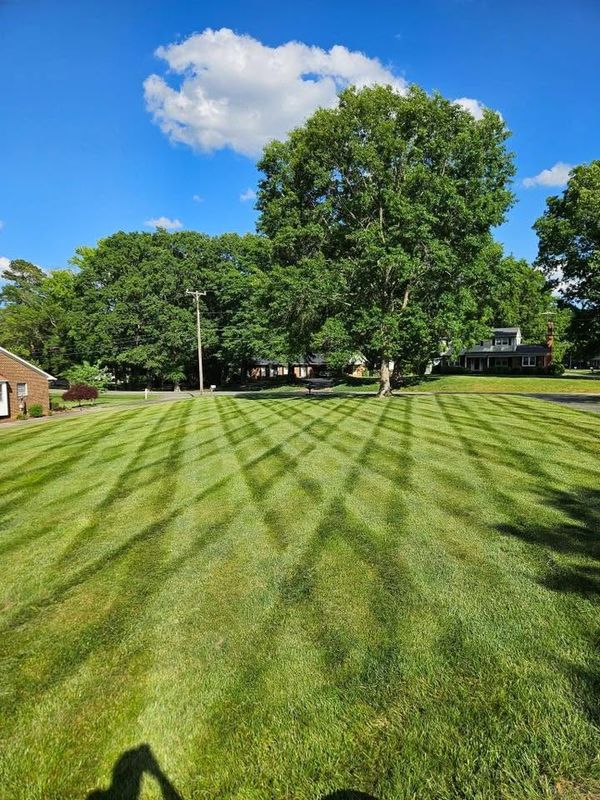 Lawn Maintenance