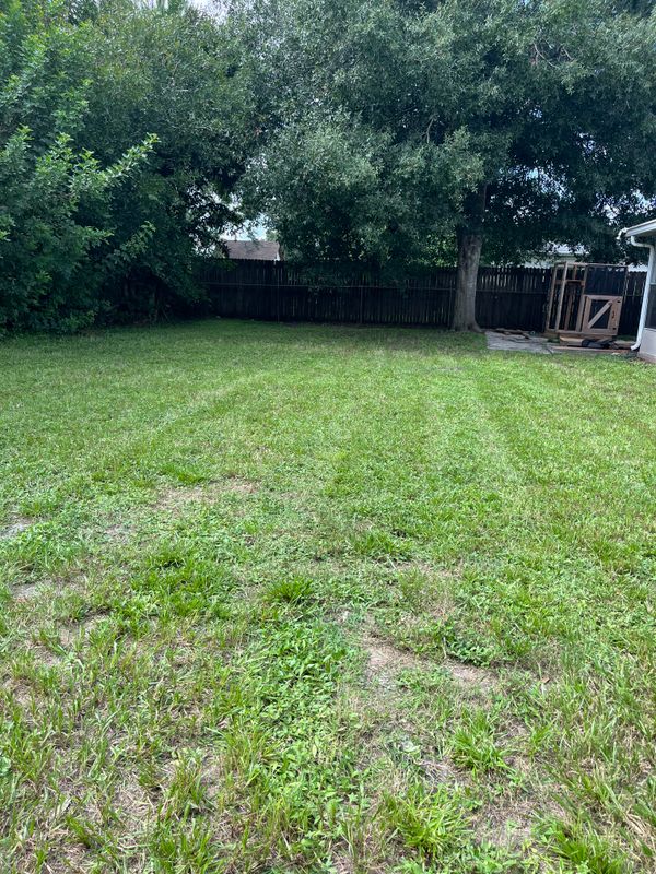 Lawn Maintenance