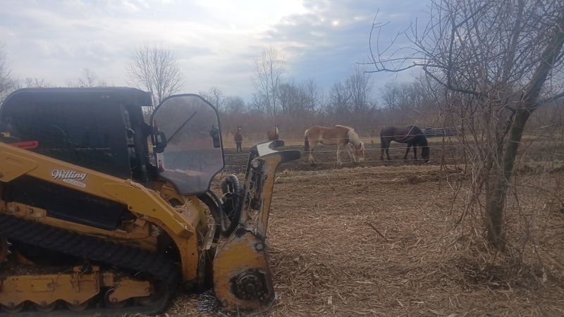 Forestry Mulching