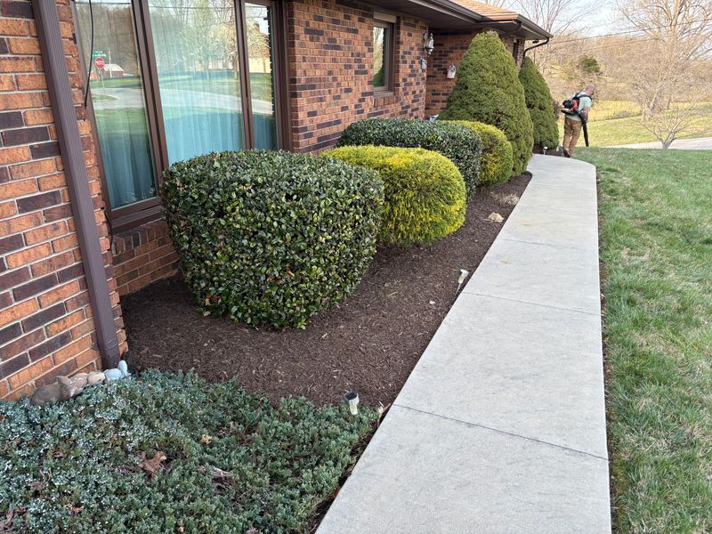 Lawn Maintenance
