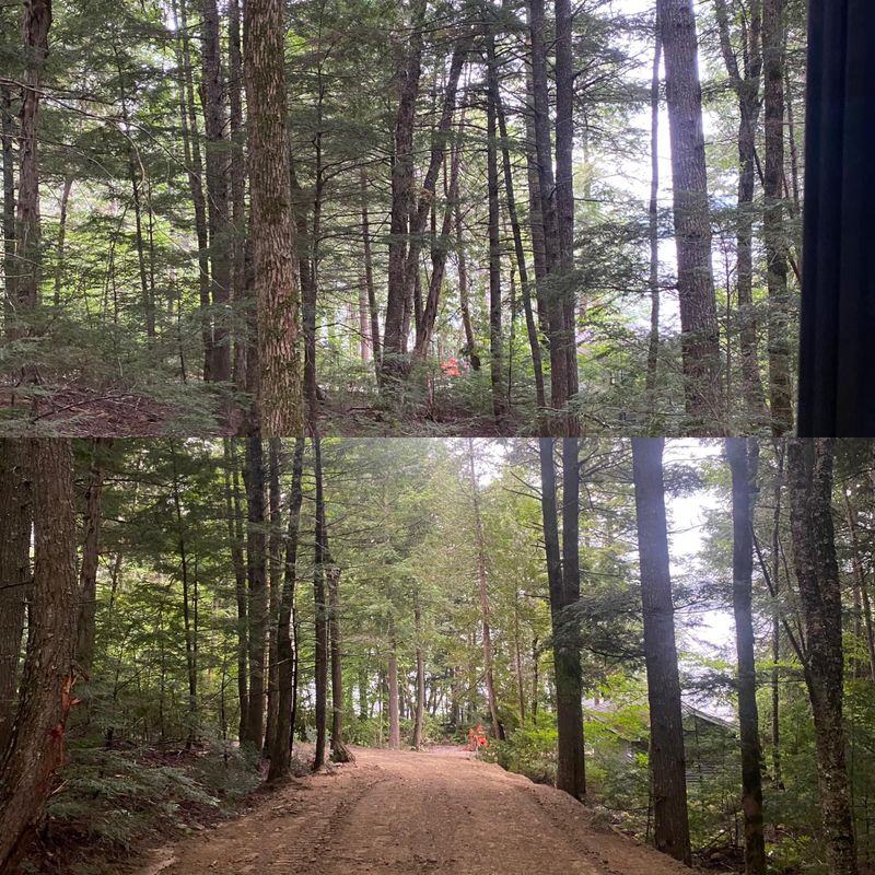 Land Clearing & Forestry Mulching