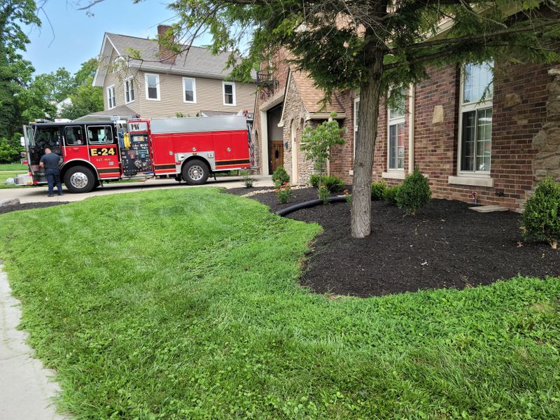 landscaping