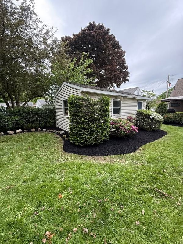 Tree & Shrub Care